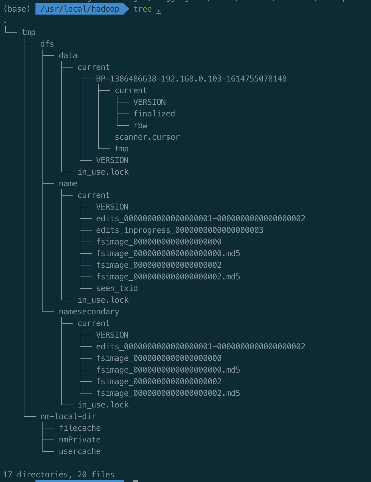 init hadoop cluster