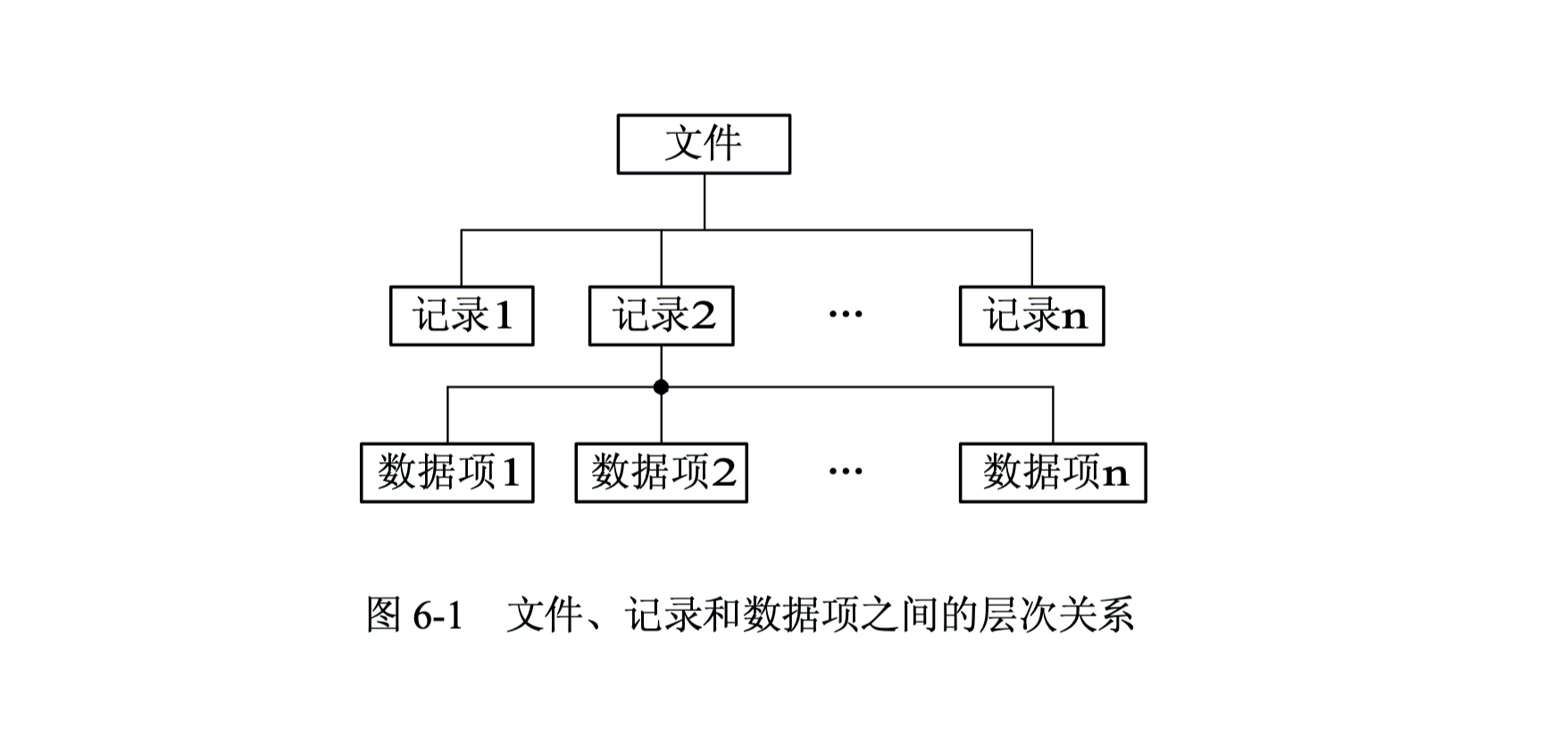 文件、记录和数据项之间的层次关系